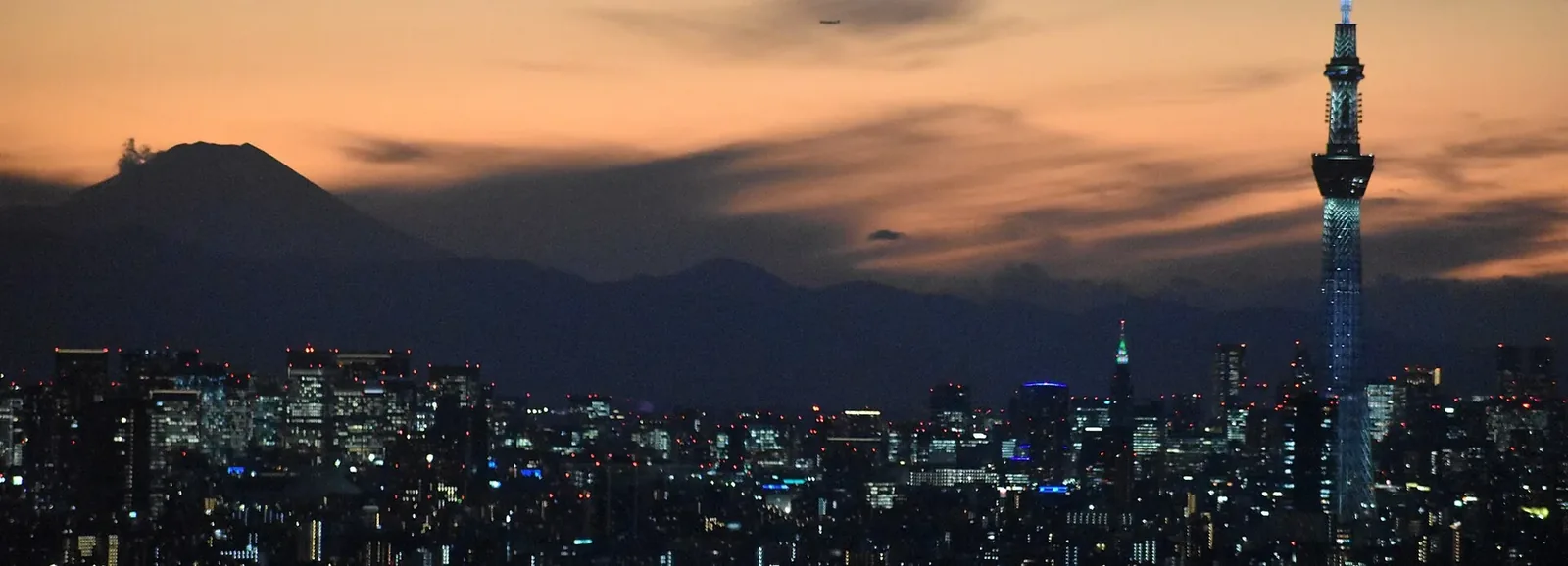 Tokyo skyline at sunset